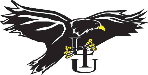 LIU-Brooklyn Blackbirds 1996-2007 Primary Logo diy iron on heat transfer